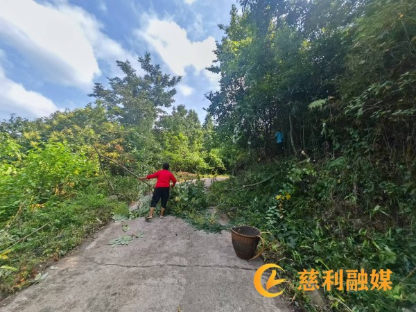 微信图片_20241220113036.jpg