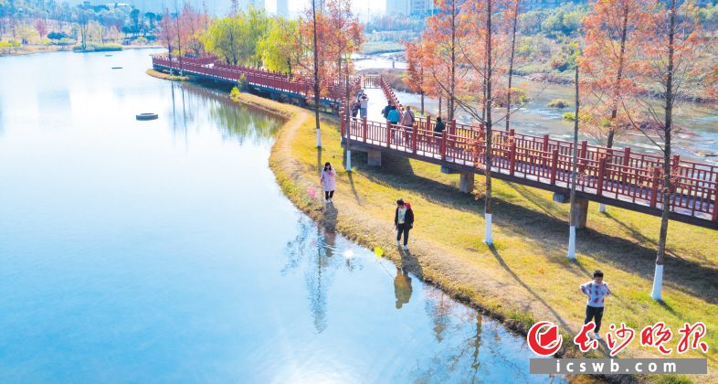 冬日暖阳，市民纷纷走出家门感受美好时光，这是市民正在圭塘河畔玩耍。 长沙晚报全媒体记者 邹麟 摄