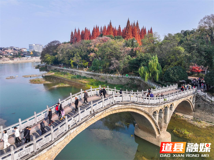 道县：冬日杉树红装俏 （组图）3_副本.png