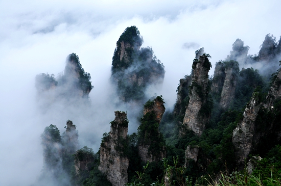 云涌天子山 峰起张家界_邓道理.jpg