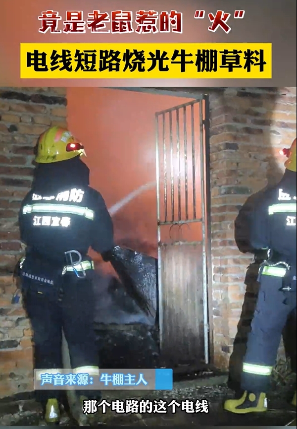 微信截图_20241224095412.png