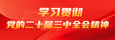 学习贯彻党的二十届三中全会精神