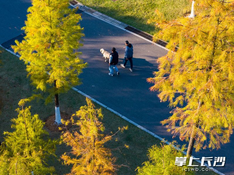 2024年冬，市民在公园散步。