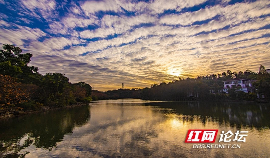 出太陽(yáng)的日子，來(lái)湖南省植物園感受長(zhǎng)沙冬天的可愛(ài)