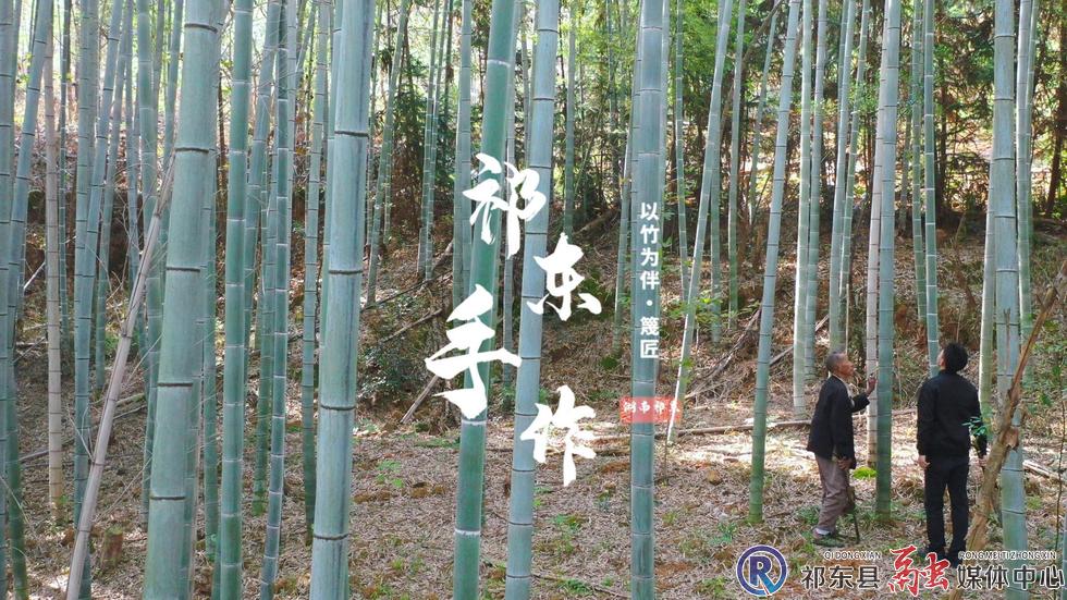 w_封面.jpg