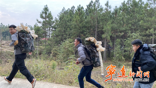 宁远：体能技能训练全面提升 筑牢森林安全防线_副本500.jpg