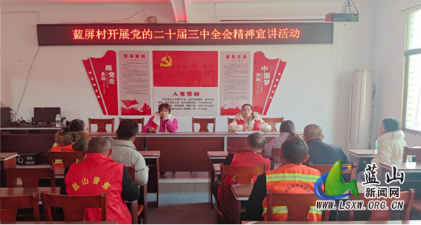祠堂圩镇蓝屏村开展党的二十届三中全会精神宣讲活动.jpg