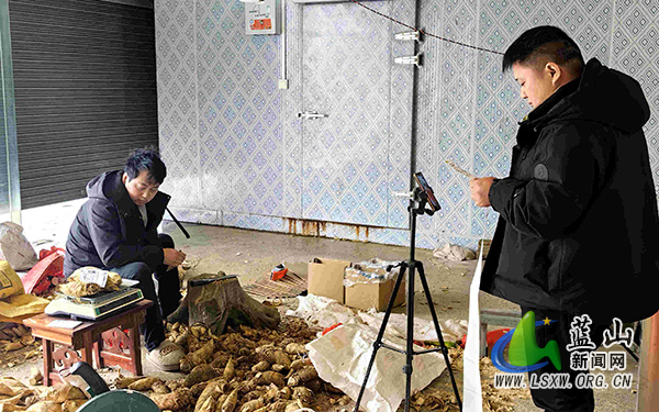 蓝山县:直播带货拓销路 助农增收促振兴2.jpg 蓝山县:直播带货拓销路 助农增收促振兴2.jpg