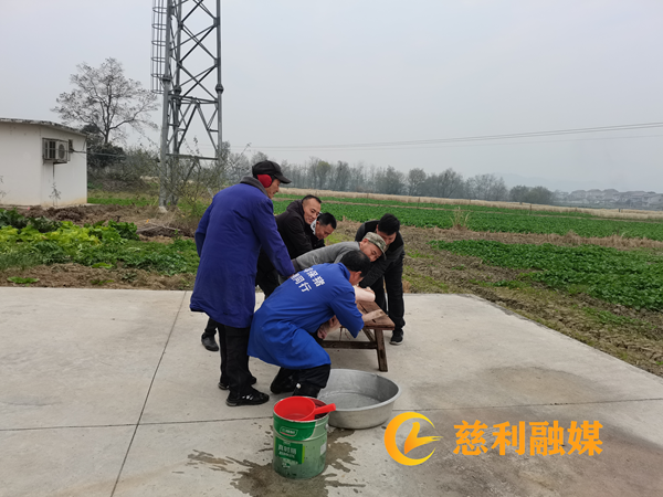 图片3_副本1.png