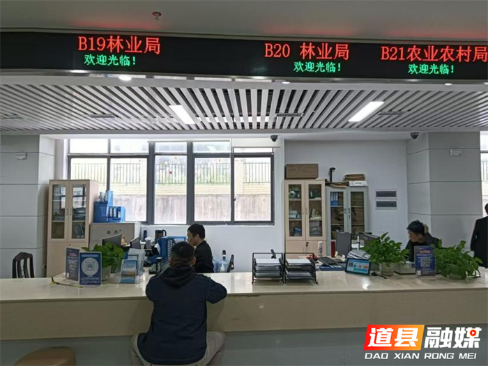 道县多举措提升林业政务服务质效_副本.png