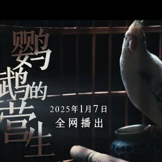 重磅预告！开年网络普法微电影《鹦鹉的营生》《谁是甄湘》精彩抢先看！