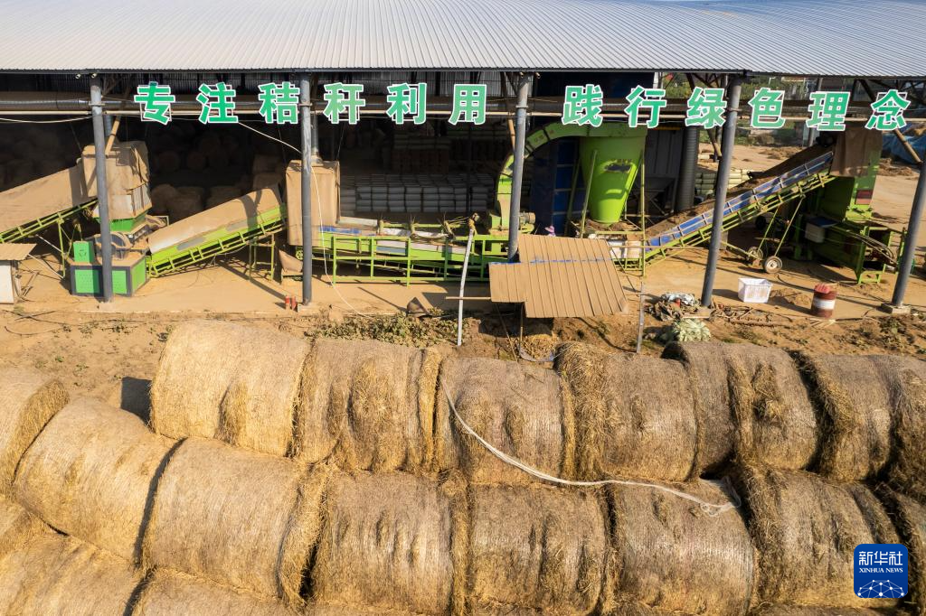 12月1日在南县浪拔湖镇太阳山村拍摄的一个秸秆饲料化利用工厂（无人机照片）。新华社记者 陈思汗 摄.png