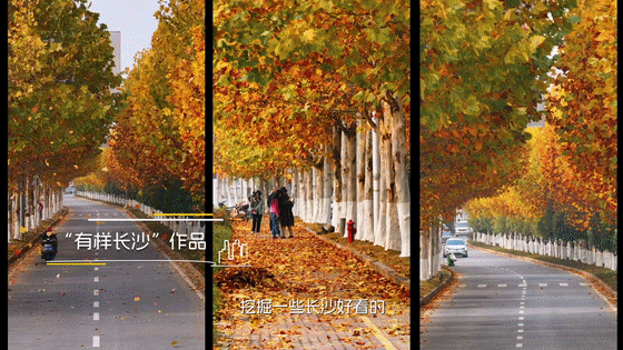 4.gif