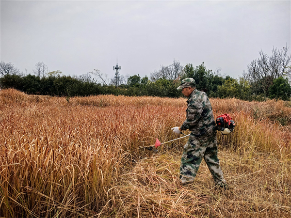 1.8肖小兵珠泉社区01.jpg