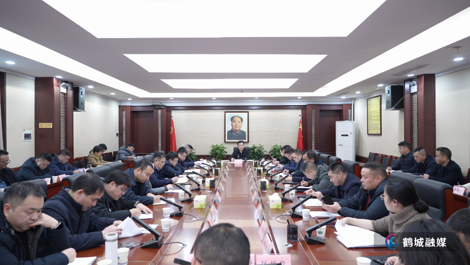 唐成主持召开区委常委班子民主生活会征求意见座谈会.jpg