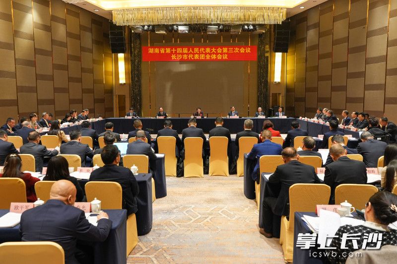 1月15日，省十四届人大三次会议长沙市代表团举行第四次和第五次全体会议。长沙晚报全媒体记者 郭雨滴 摄