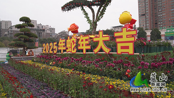 我县绿植扮靓县城 迎接蛇年新春.jpg