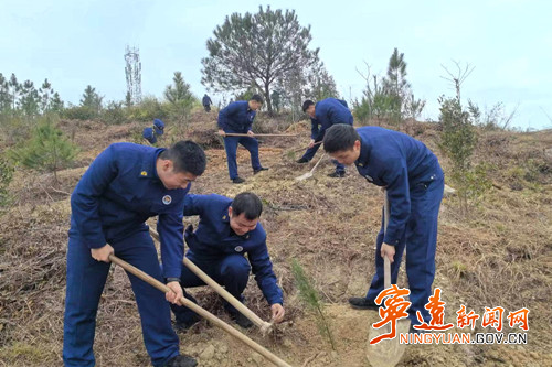 宁远：“火焰蓝”义务植树 为大地添“新绿”_副本500.jpg