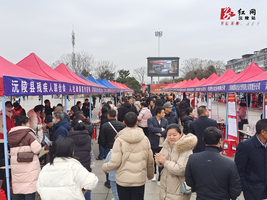 IMG_20250207_103554_副本.jpg