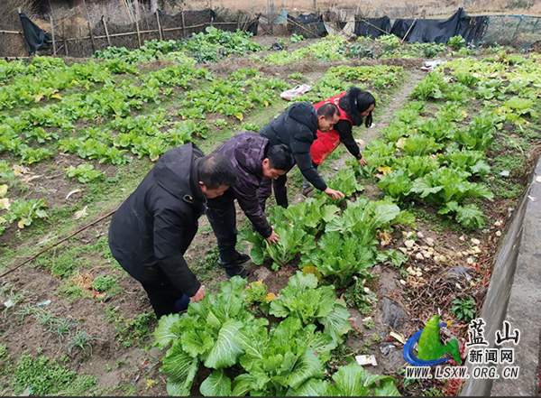大桥瑶族乡：禁种铲毒不停歇，全力踏查守净土.jpg