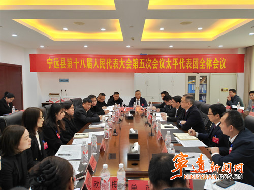 【聚焦两会】毛政参加太平代表团讨论_副本500.jpg