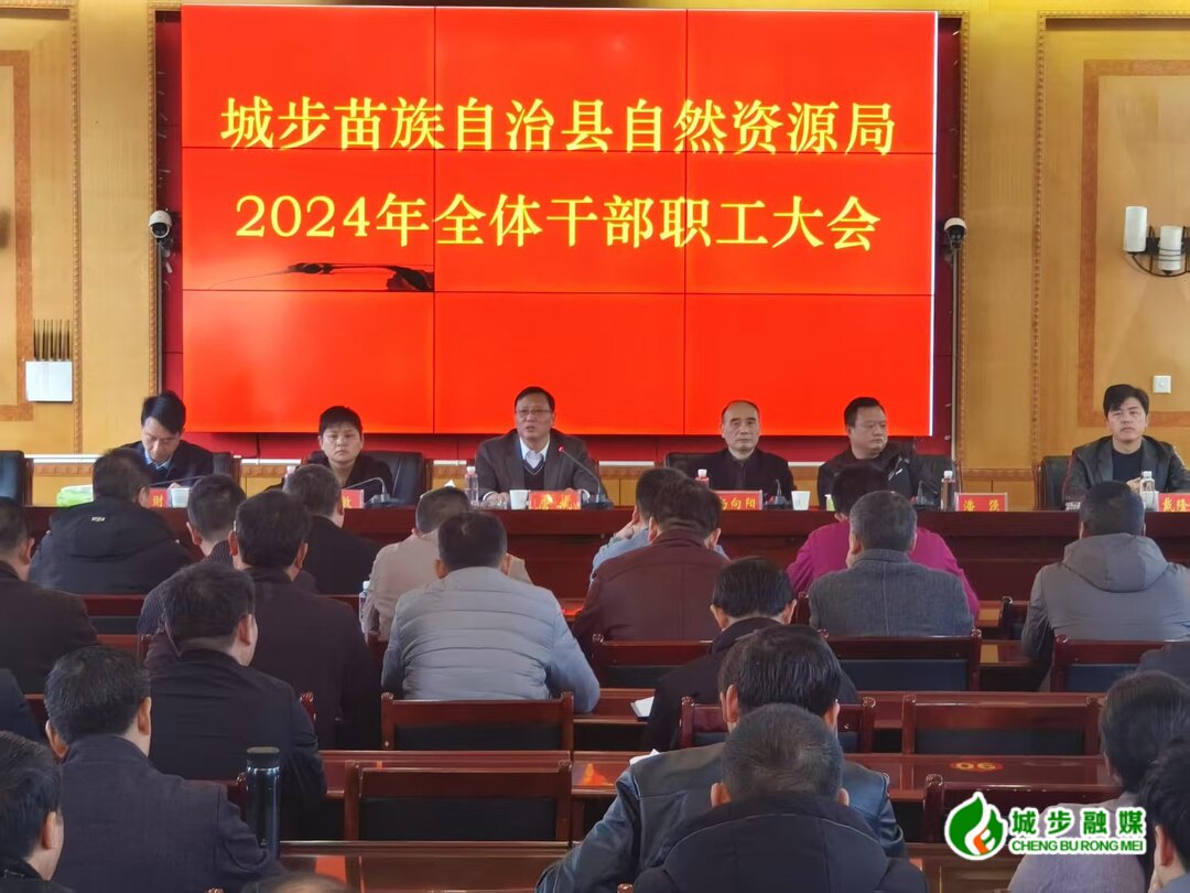 城步自然资源局：强化自然资源资产管理 全力推动县域经济发展(图1)