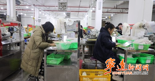宁远：岗位送到家门口 多措并举抢开局2_副本500.jpg