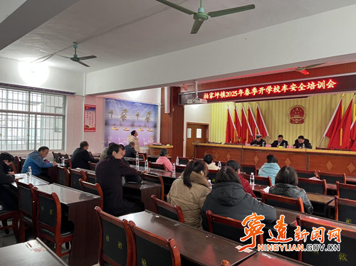 宁远柏家坪镇：强化校车安全管理 共筑学生安全防线_副本500.jpg