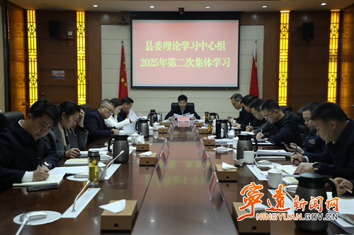 寧遠縣委理論學習中心組舉行2025年第二次集體學習_副本500.jpg