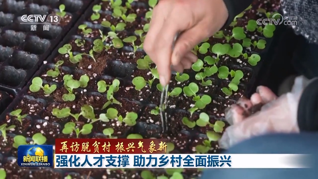 【再访脱贫村 振兴气象新】强化人才支撑 助力乡村全面振兴