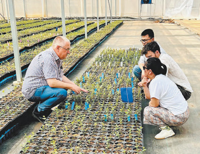 看，田间地头的“科技范儿”