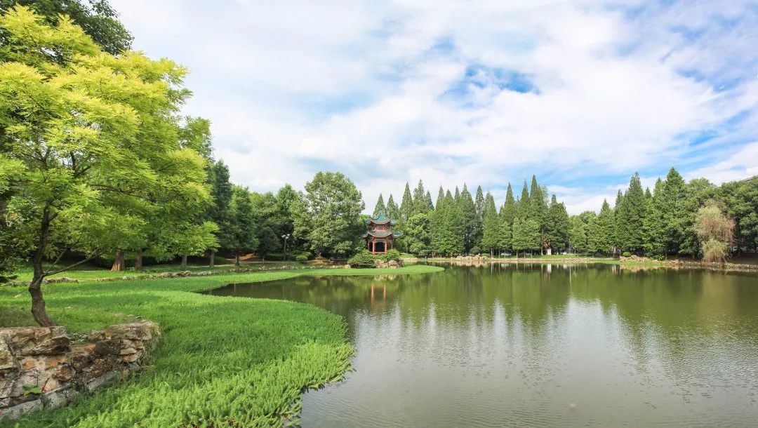 8.寸草湖.jpg