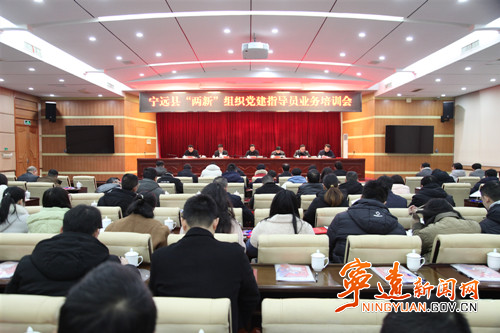 宁远召开2025年新兴领域党建指导员业务培训会_副本500.jpg
