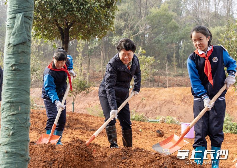 2月27日，在长沙市天心区芙蓉南路侧植树点，省委常委、市委书记吴桂英参加集中义务植树活动。