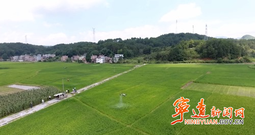 寧遠(yuǎn)：“執(zhí)法+供種+科技”三聯(lián)動 打好春耕“組合拳”4_副本500.jpg
