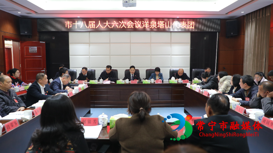 罗卫华参加洋泉塔山天堂山代表团审议(1).jpg