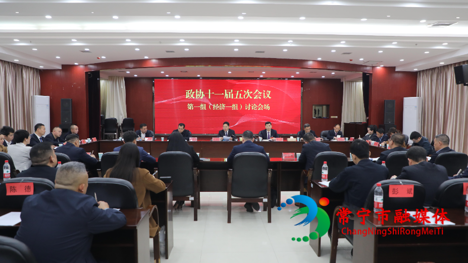 罗卫华参加经济一组讨论.jpg
