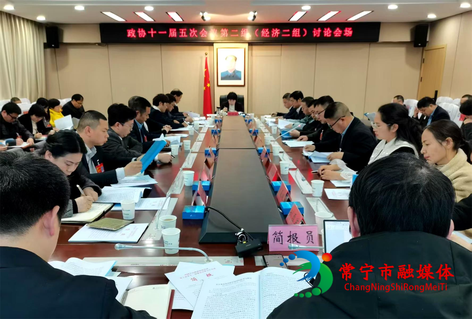 邓艳红参加经济界二组讨论.jpg
