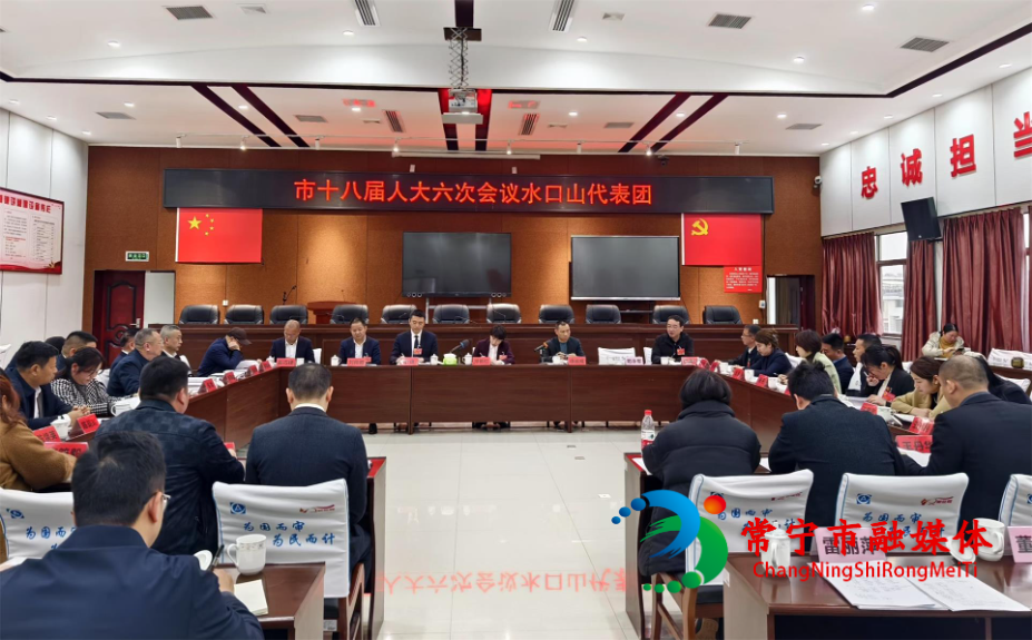 邓艳红参加水口山代表团审议(1).jpg