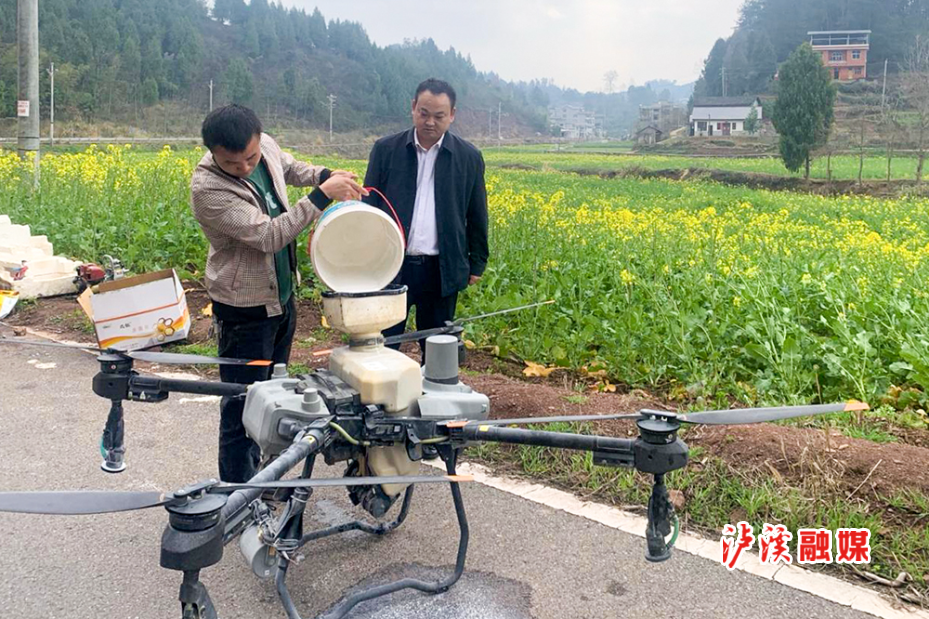 达岚油菜采收.jpg修图.jpg