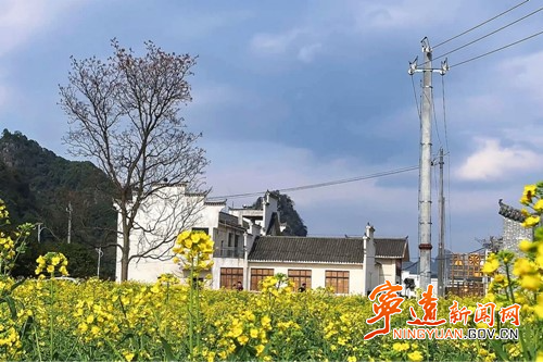 寧遠：油菜花海醉游人2_副本500.jpg