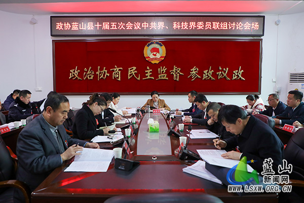 县政协委员继续开展联组讨论.jpg