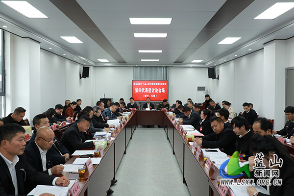 龙向洋到第四代表团（新圩 毛俊）参加讨论.jpg