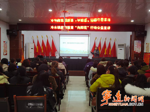 宁远冷水镇：“三八”妇女节共话家庭教育   “向阳花”行动暖人心_副本500.jpg