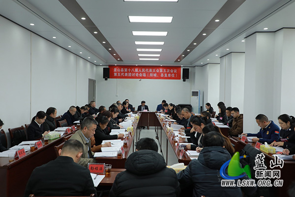 【聚焦两会】蓝山县人大代表开展分组讨论_1.jpg 【聚焦两会】蓝山县人大代表开展分组讨论_1.jpg