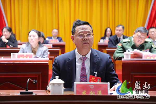 【聚焦两会】蓝山县第十八届人民代表大会第五次会议举行第二次全体会议2.jpg
