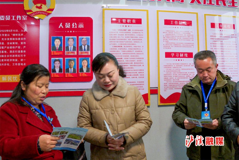 州政协副主席邓建英来泸调.jpg