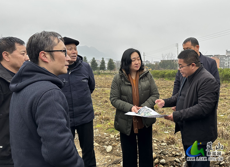 邓群到塔峰镇督导省委第十六巡视组交办生态环境问题整改情况.jpg