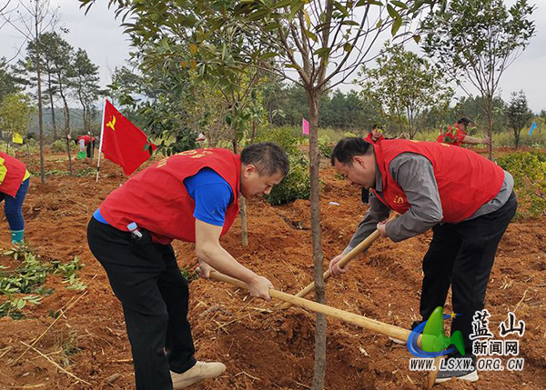 蓝山：公路部门春日植树添新绿.jpg