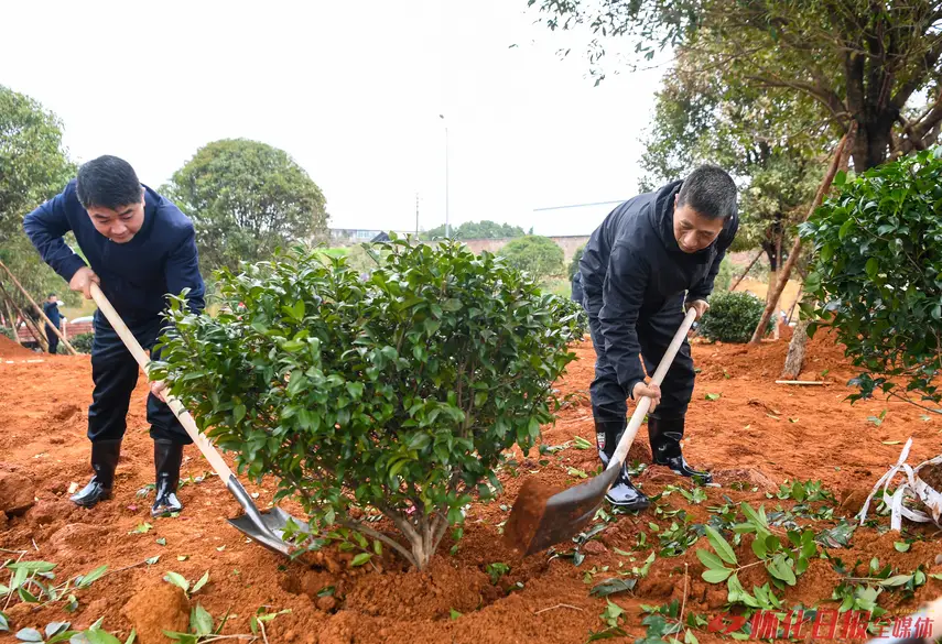 履行植树义务 助推“一迎三创” 2025年全市集中义务植树活动举行